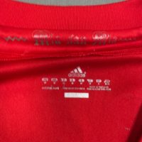 2011/2012 Bayern Munich Hjemme Kroos Fotballdrakt – (M) 6