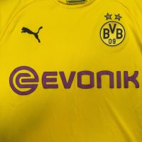 2019/2020 Borussia Dortmund Hjemme Jadon Sancho Fotballdrakt – (L) 8