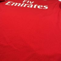 2010/2011 Arsenal Hjemme Van Persie Fotballdrakt – (L) 7