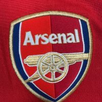 2010/2011 Arsenal Hjemme Van Persie Fotballdrakt – (L) 7