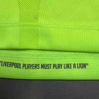 2016/2017 Liverpool Tredje Coutinho Fotballdrakt – (M) 7