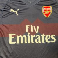 2018/2019 Arsenal Borte Alexis Fotballdrakt – (M) 7